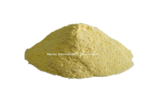 spray dried mango (alphonso) powder
